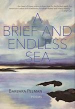 A Brief and Endless Sea