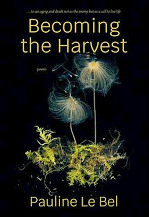 Becoming the Harvest