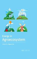 Energy in Agroecosystem