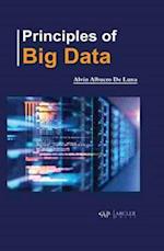 Principles of Big Data