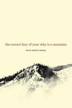 The Correct Fury of Your Why Is a Mountain