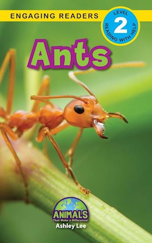 Ants