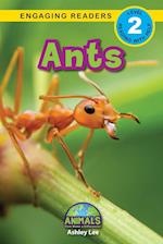 Ants