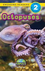 Octopuses