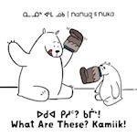 Nanuq and Nuka: What Are These? Kamiik! : Bilingual Inuktitut and English Edition 