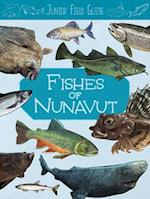 Junior Field Guide: Fishes of Nunavut : English Edition 
