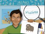 Uliaq's Amazing Animals: Muskox : English Edition 