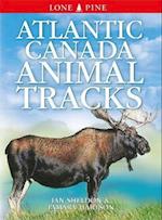 Atlantic Canada Animal Tracks