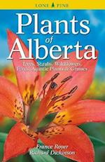 Plants of Alberta