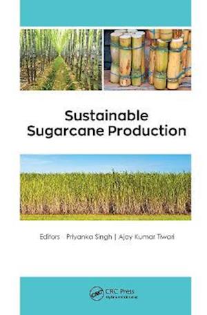 Sustainable Sugarcane Production