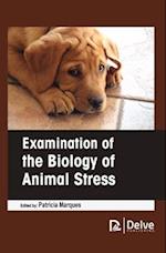 Examination of the Biology of Animal Stress