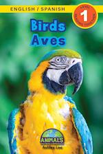 Birds / Aves