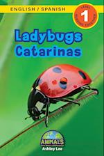 Ladybugs / Catarinas
