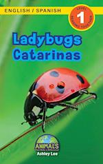 Ladybugs / Catarinas