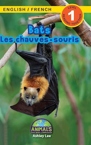 Bats / Les chauves-souris