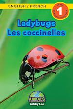 Ladybugs / Les coccinelles