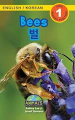 Bees / &#48268;