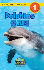 Dolphins / ¿¿¿