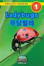 Ladybugs / &#47924;&#45817;&#48268;&#47112;