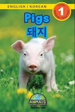Pigs / ¿¿