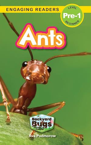 Ants: Backyard Bugs and Creepy-Crawlies (Engaging Readers, Level Pre-1)