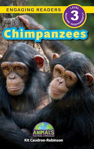 Chimpanzees