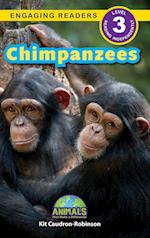 Chimpanzees