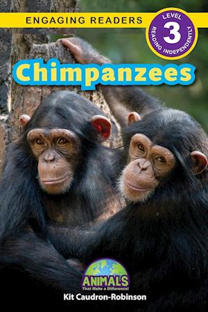 Chimpanzees