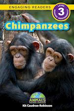 Chimpanzees