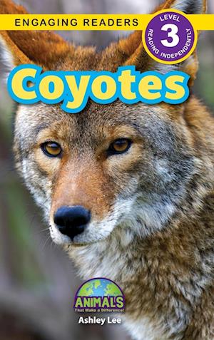 Coyotes