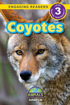 Coyotes