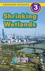 Shrinking Wetlands