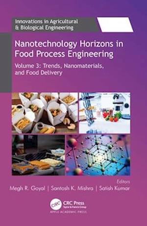 Nanotechnology Horizons in Food Process Engineering