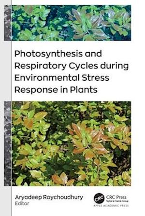 Photosynthesis and Respiratory Cycles during Environmental Stress Response in Plants