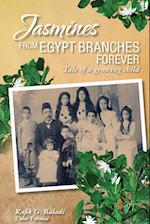 Jasmines from Egypt Branches Forever