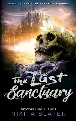 The Last Sanctuary