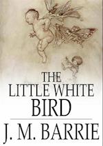 Little White Bird