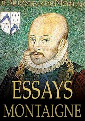 michel de montaigne essay format