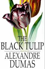 Black Tulip