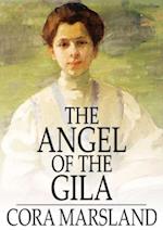 Angel of the Gila