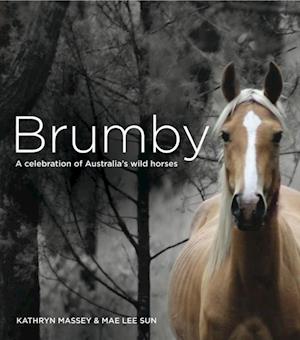 Brumby