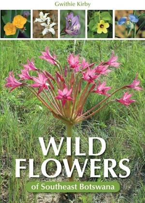 Wild Flowers of Southeast Botswana