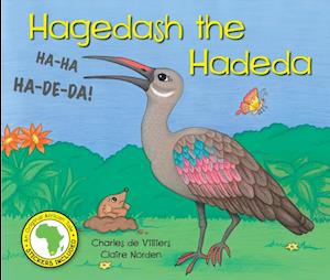 Hagedash the Hadeda