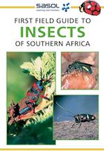 Sasol First Field Guide to Insects of Southern Africa