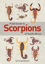 Field Guide to Scorpions of South Africa