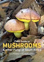 Field Guide to Mushrooms & Other Fungi of South Africa