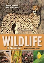 Wildlife of Namibia