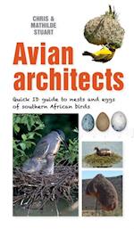 Quick ID Guide - Avian Architects