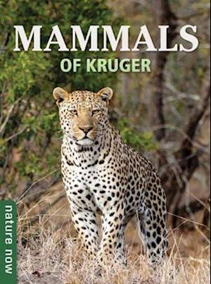 Mammals of Kruger