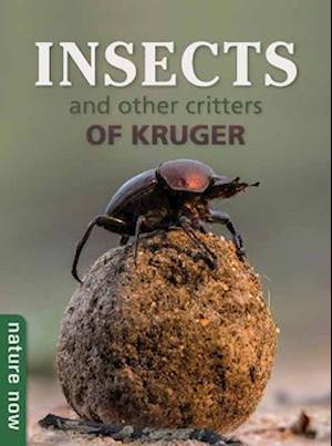 Insects and other Critters of Kruger